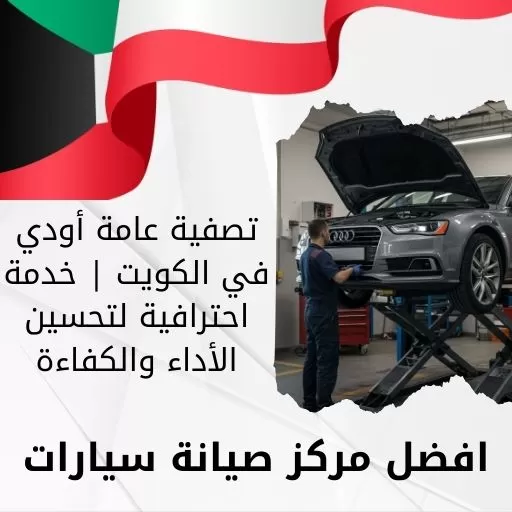 تصفية عامة أودي