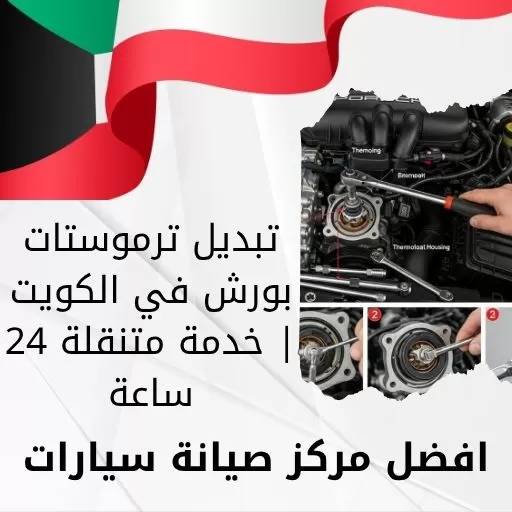 تبديل ترموستات بورش