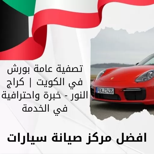 تصفية عامة بورش