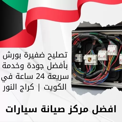 تصليح ضفيرة بورش